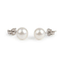 Classic White Simulated Pearl Stud Earring Medium